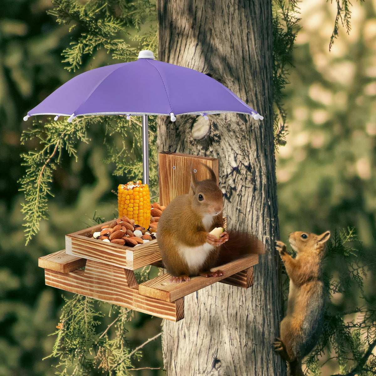 Gnodry chipmunk-friendly feeder turns outdoor moments into a tiny nature show.