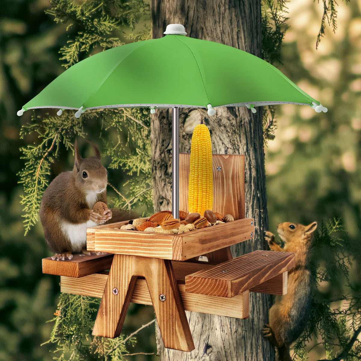 Gnodry Squirrel Feeder holds corn cob for wildlife snacks