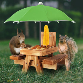 Gnodry Squirrel Feeder with green umbrella attracts wildlife outdoors and adds color