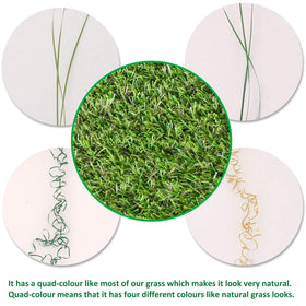 Goasis Lawn indoor-outdoor versatility for homes and businesses.