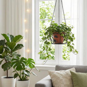 Goaste indoor-outdoor plant holder fits indoors or outdoors
