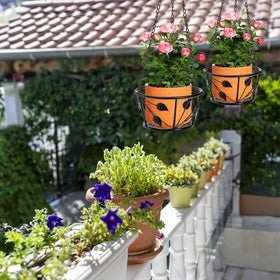 Goaste load-bearing metal hanger supports thriving plant displays