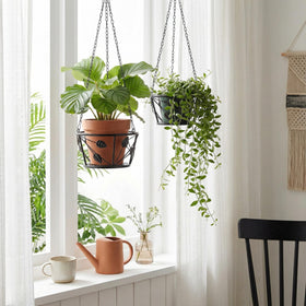 Goaste plant hanger dimensions: 27 inches high, 8.7 inches wide