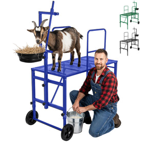 Goatzy Goat Stand with adjustable headpiece enables precise positioning for grooming.