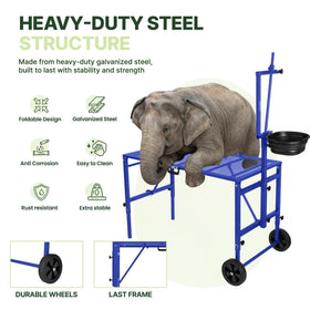 Goatzy Goat Stand sturdy surface supports milking, hoof trimming, and routine handling.