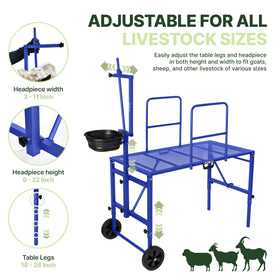 Goatzy Goat Stand with removable rails and feeder keeps goats calm during care.