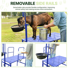 Goatzy Goat Stand wheels and carry handle simplify moving between pens.