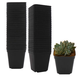 GOETOR 2.7-inch square nursery pot for seed starting and reuse.