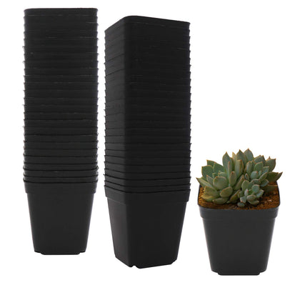 GOETOR 2.7-inch square nursery pot for seed starting and reuse.