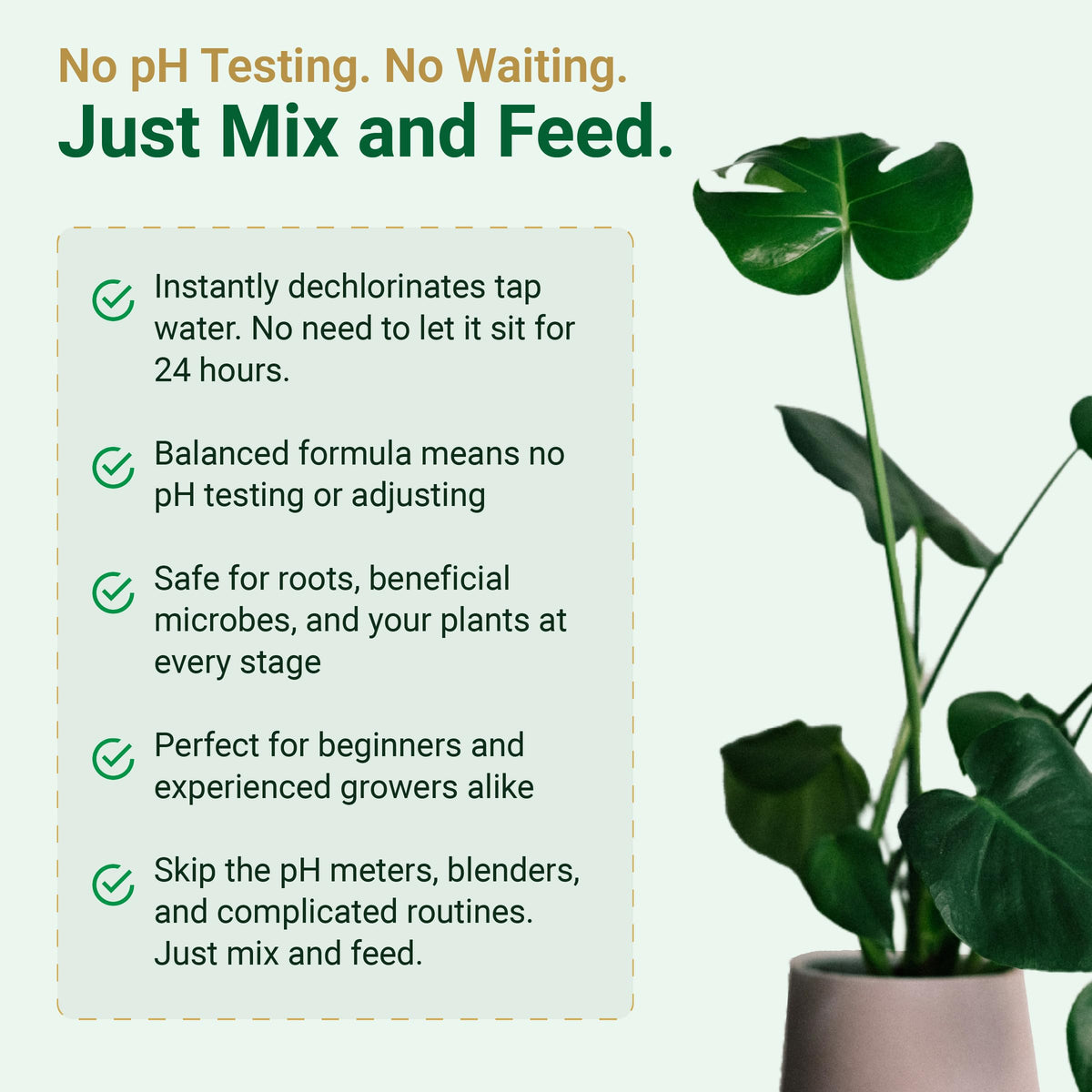 Hydroponics system receiving Gold Leaf nutrient solution.