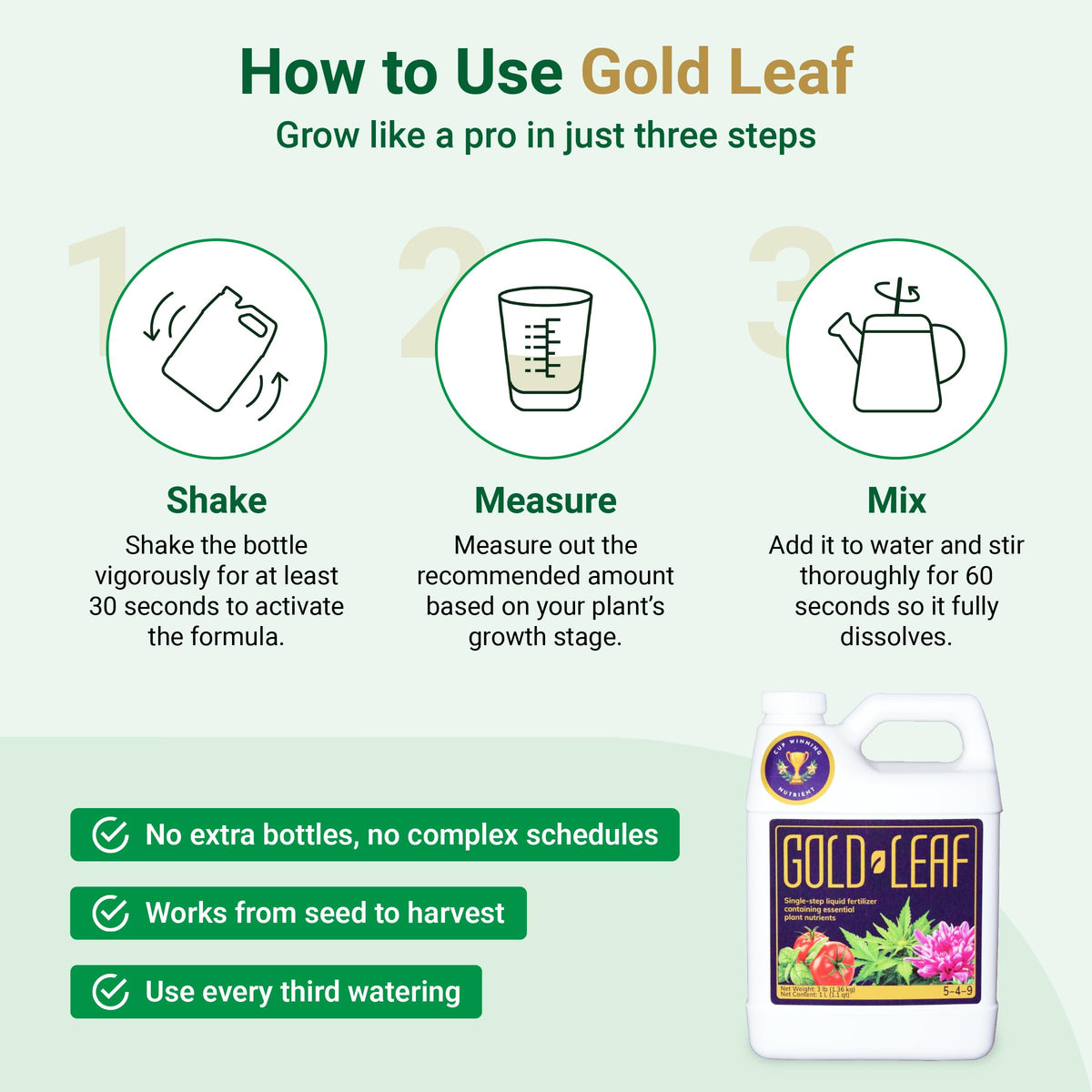 Gold Leaf indoor houseplants thriving with healthy leaves