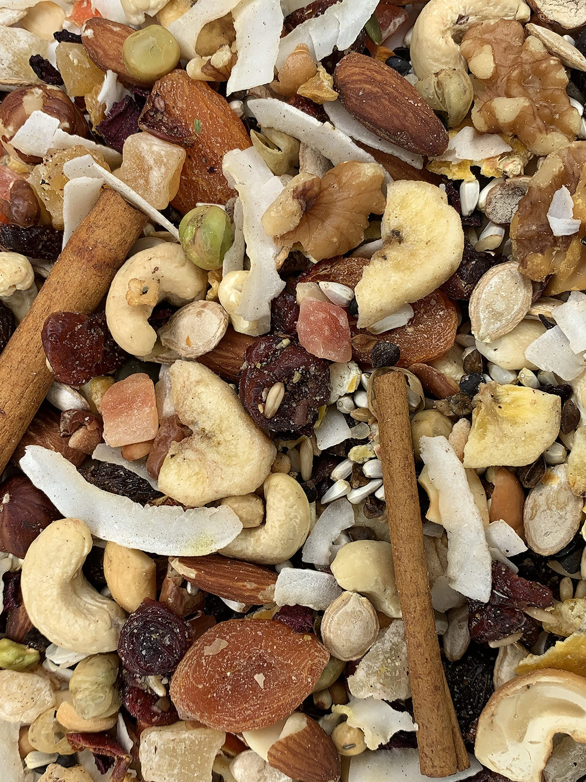 Goldenfeast VL Madagascar Blend served in bowl enhancing bird nutrition and enjoyment.