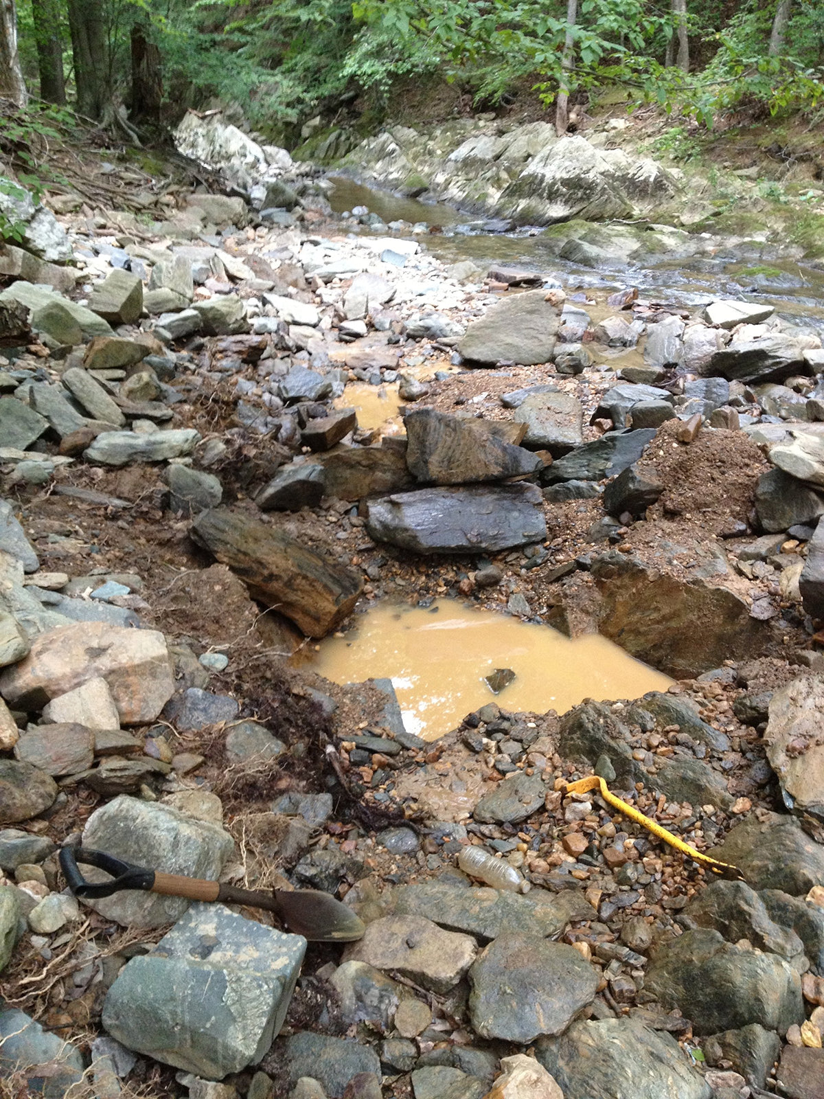 Goldn Paydirt Motherlode find pack highlights larger potential discoveries.