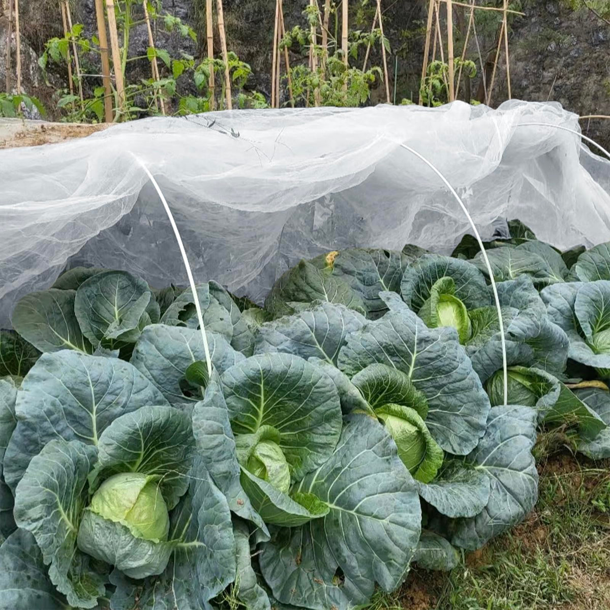 GonLei cut-to-size garden netting ready to trim