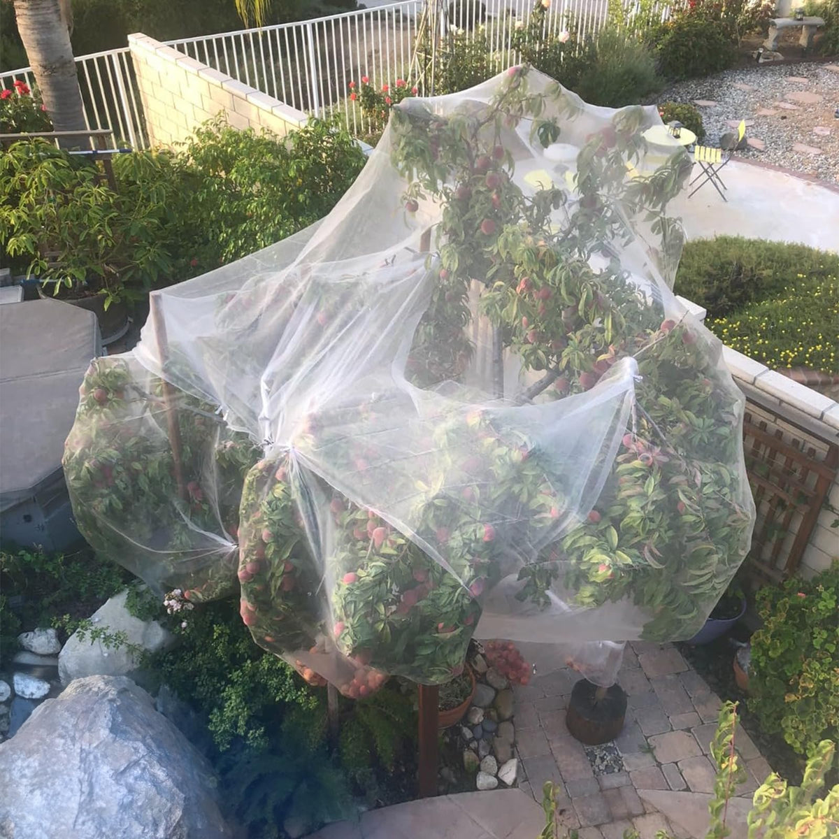 GonLei mesh lets water and air through for crops