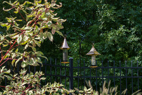 Good Directions Castella raised-tray lip keeps seed in place for multiple birds.