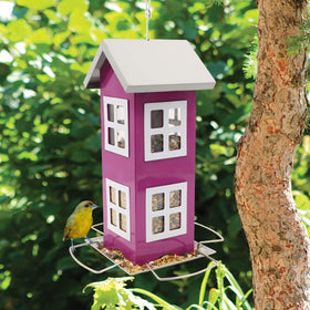 Goodeco bird feeder hanging from a tree demonstrates versatile outdoor placement.