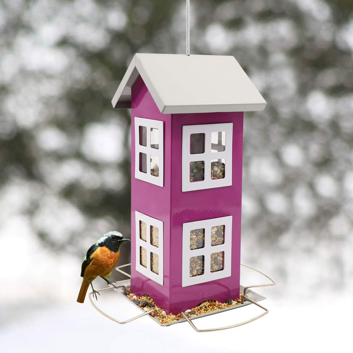 Goodeco squirrel-proof design reduces seed loss and invites backyard birds.