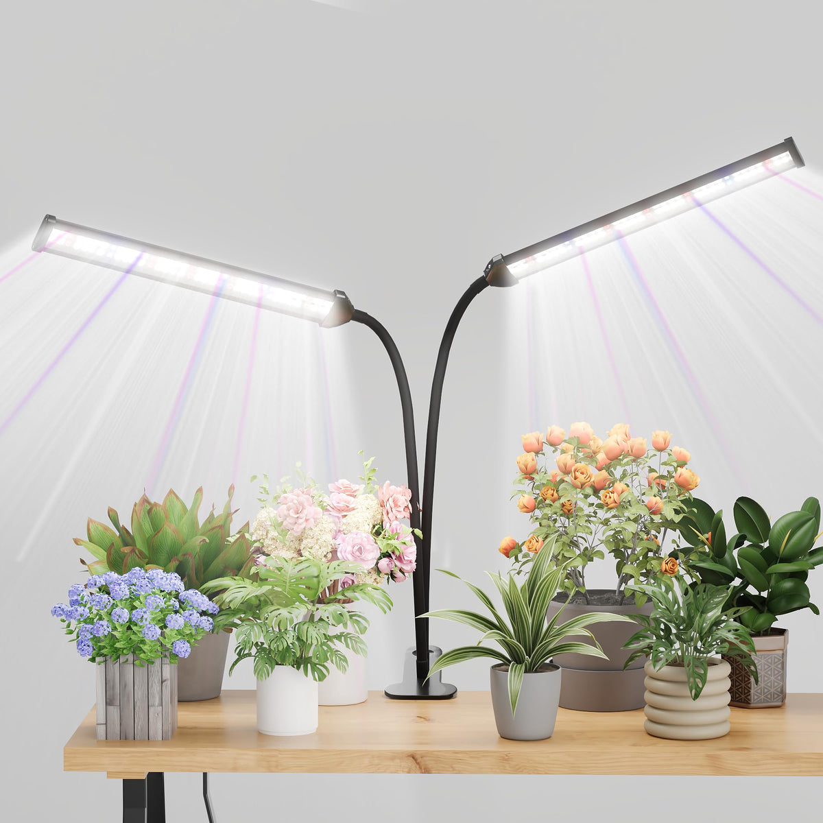 GooingTop dual-head grow light with full-spectrum white light for all growth stages.