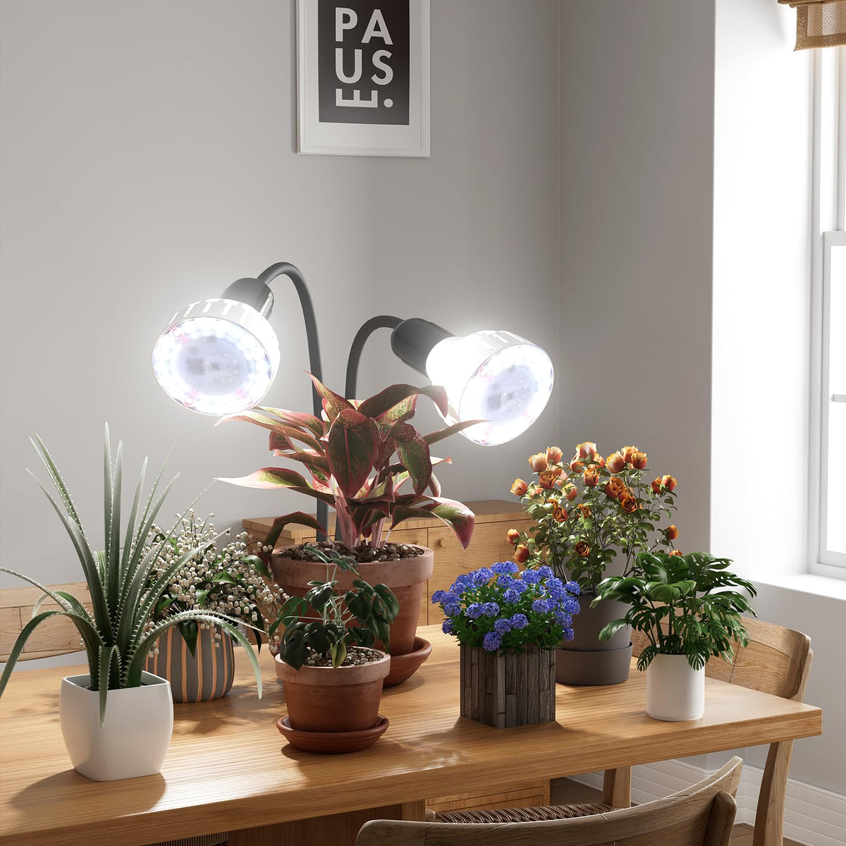 GooingTop 5000K white light optimizes daylight-like ambiance for seedlings.