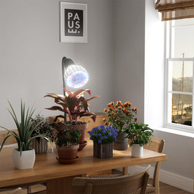 GooingTop Grow Light full-spectrum 5000K illuminates seedlings evenly