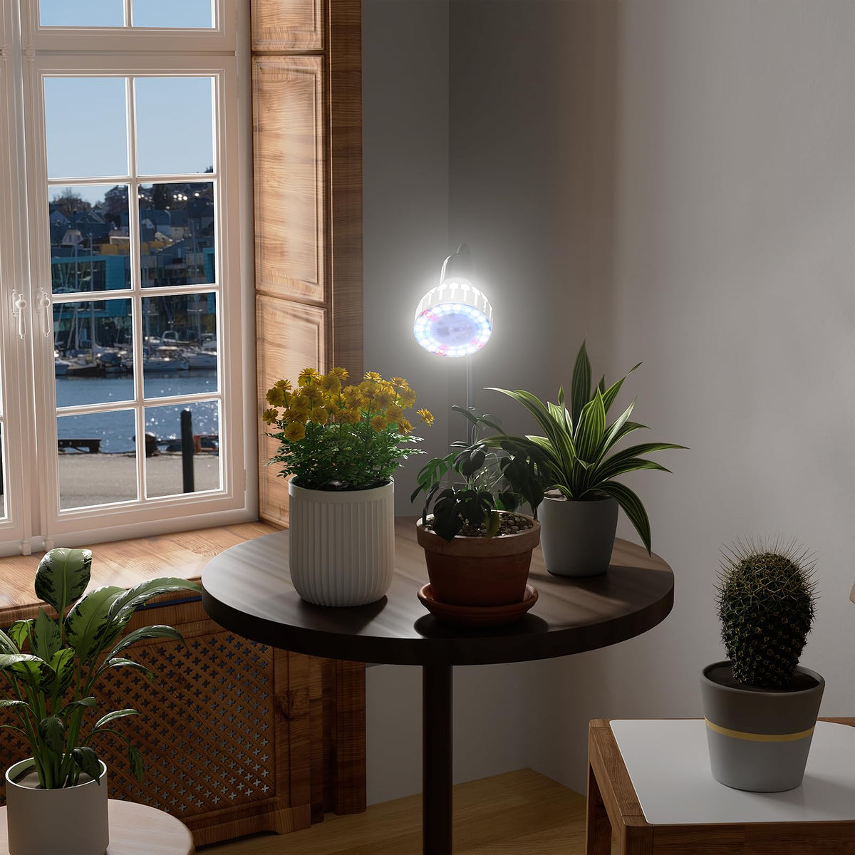 GooingTop Grow Light timer control enabling consistent cycles