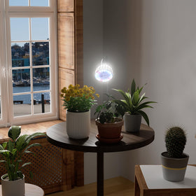 GooingTop Grow Light timer control enabling consistent cycles