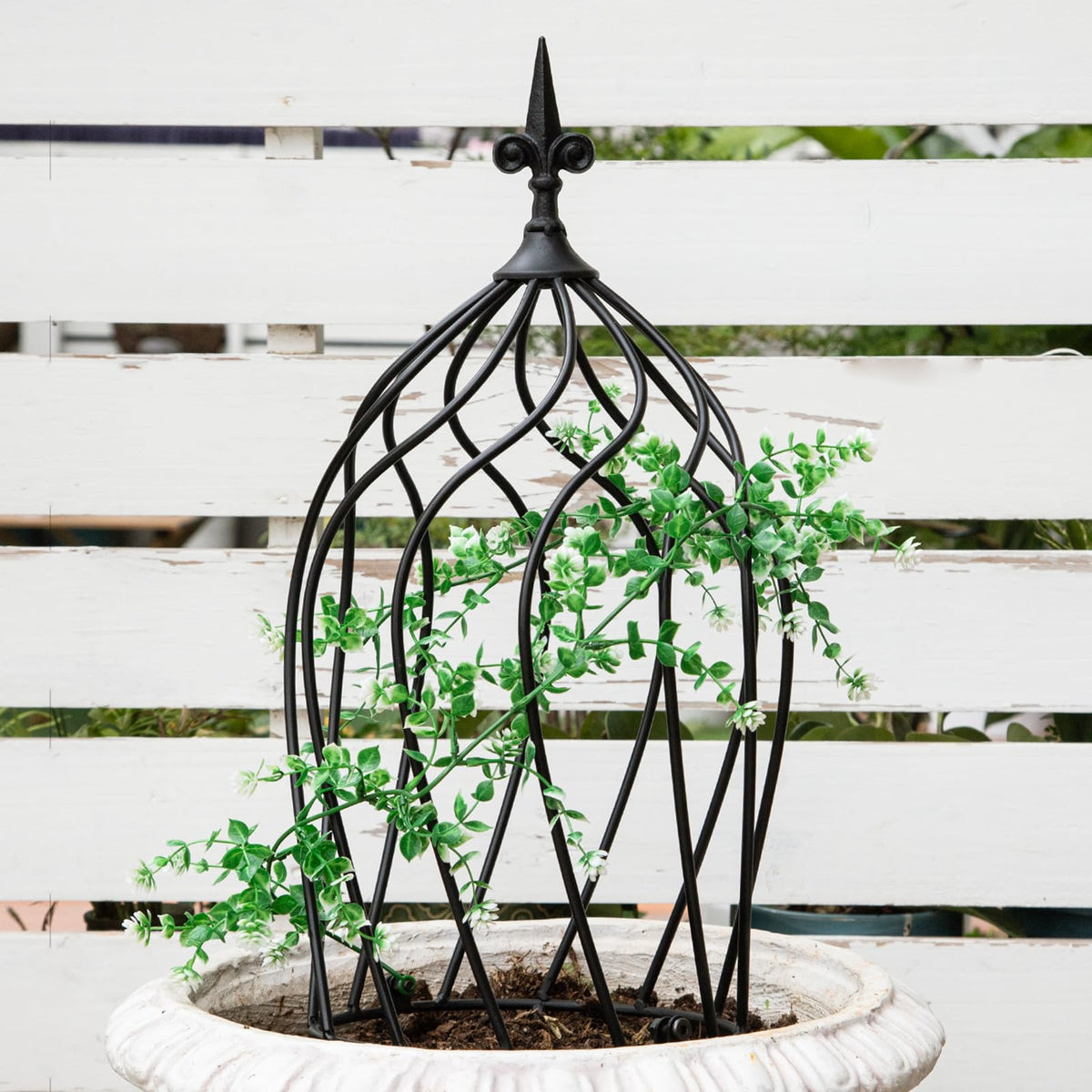 Goooxim 23-inch metal obelisk trellis supports roses in a sunny garden.