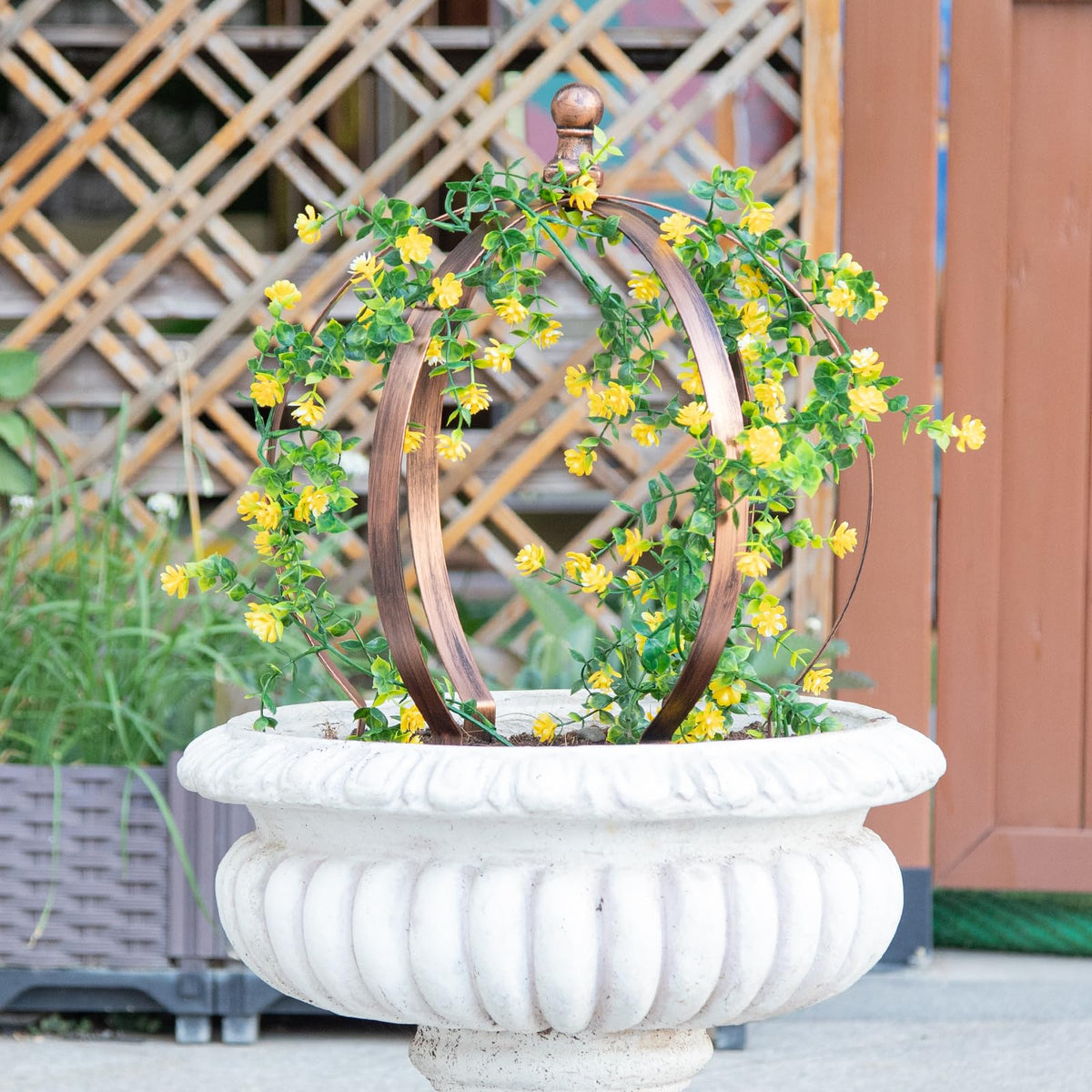 Goooxim climbing plants trellis obelisk features black grid.
