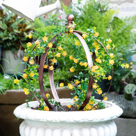 Goooxim disassembly-friendly trellis obelisk stores compactly after season.