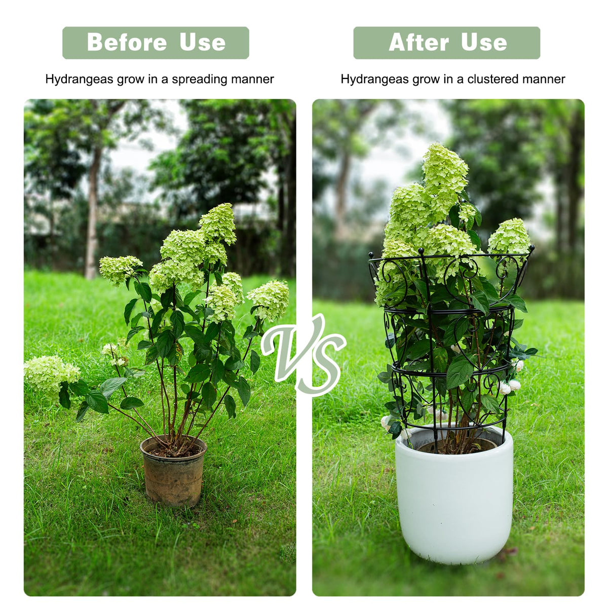 Goooxim easy-assembly trellis simplifies setup with no tools required