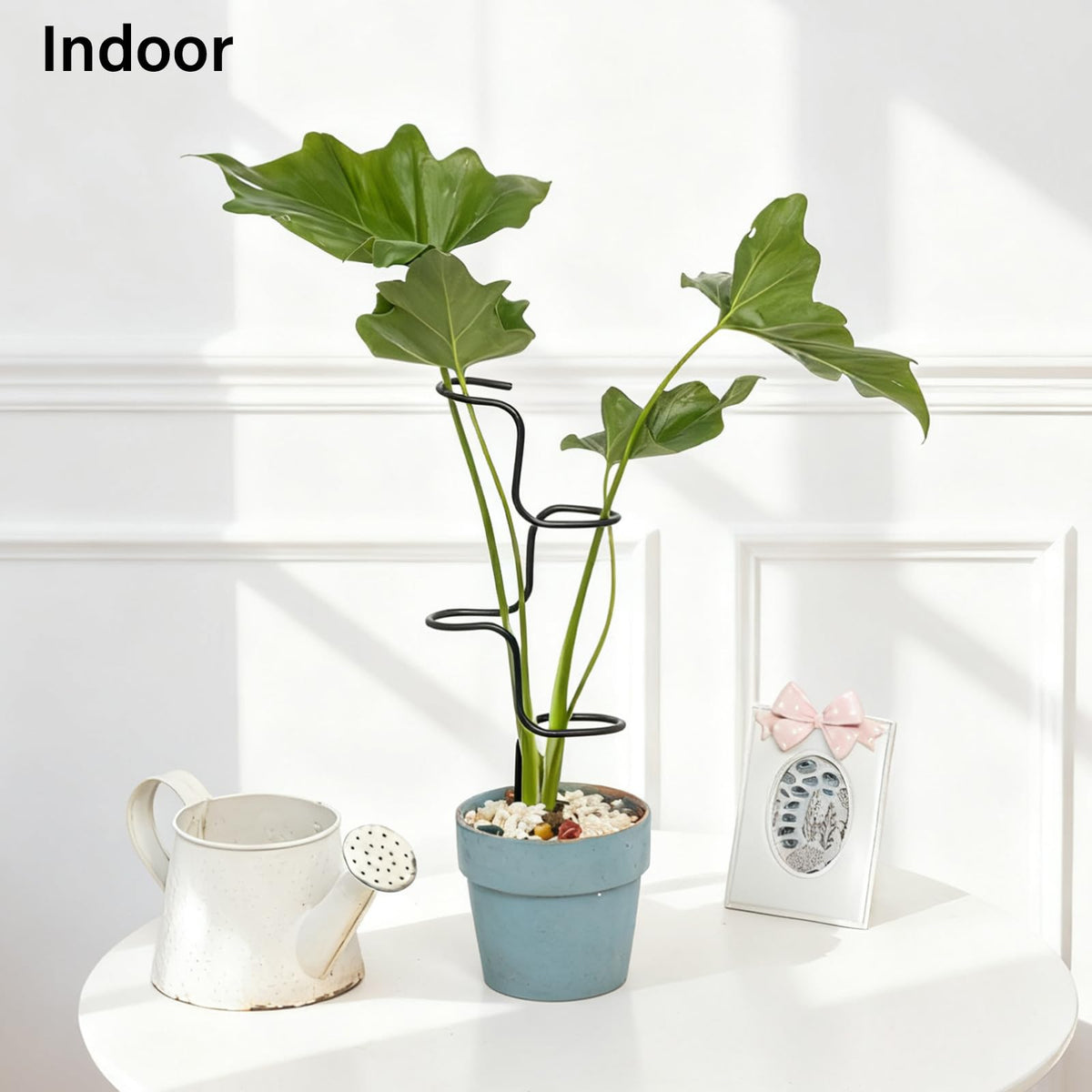Goooxim elegant black plant supports blend into decor while boosting structure.