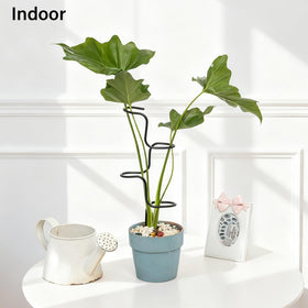 Goooxim elegant black plant supports blend into decor while boosting structure.