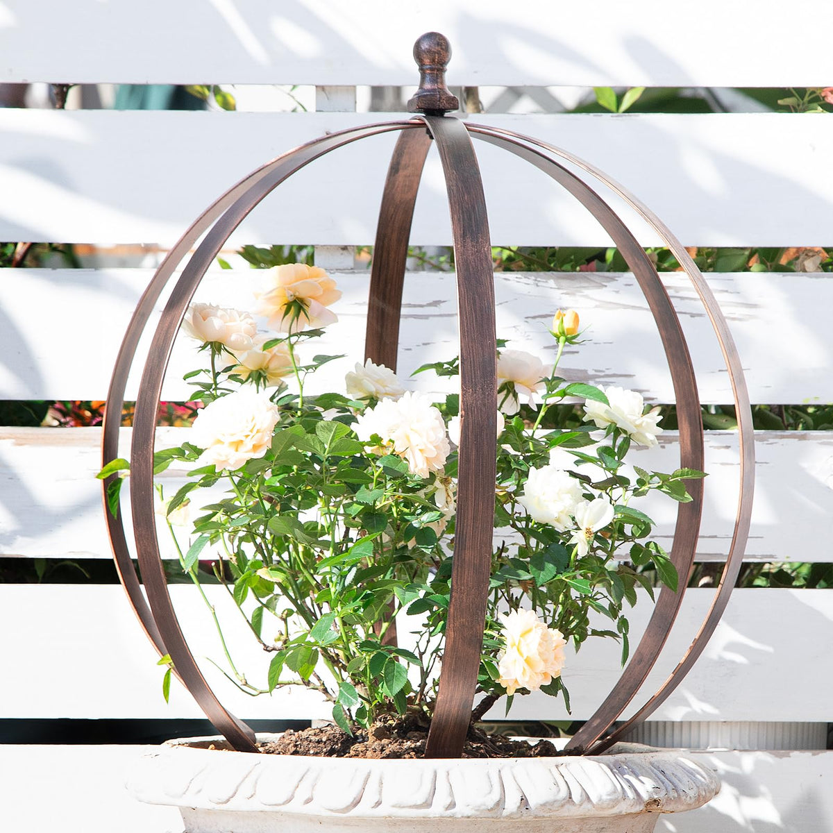 Goooxim garden obelisk 18x22 inches provides sturdy support for roses and tall vines.