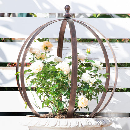 Goooxim garden obelisk 18x22 inches provides sturdy support for roses and tall vines.