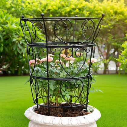 Goooxim large obelisk trellis peony cage provides sturdy outdoor support for climbing plants