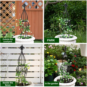 GOOOXIM Obelisk trellis enhances roses and vines with vertical display.
