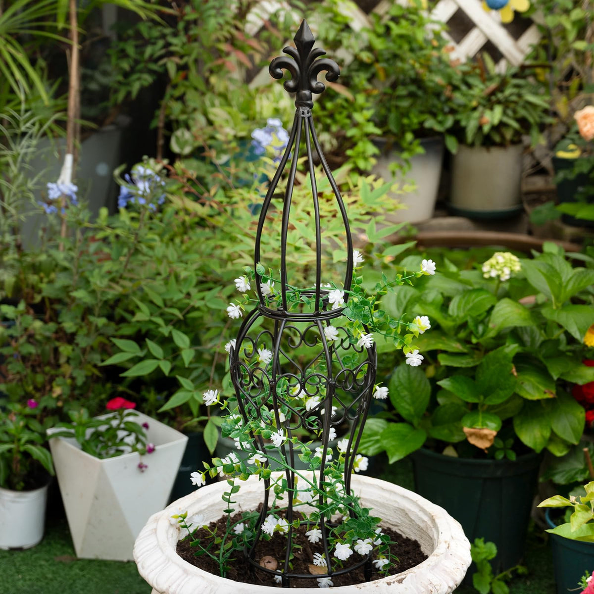 GOOOXIM Obelisk trellis supports vertical gardening with climbing plants.