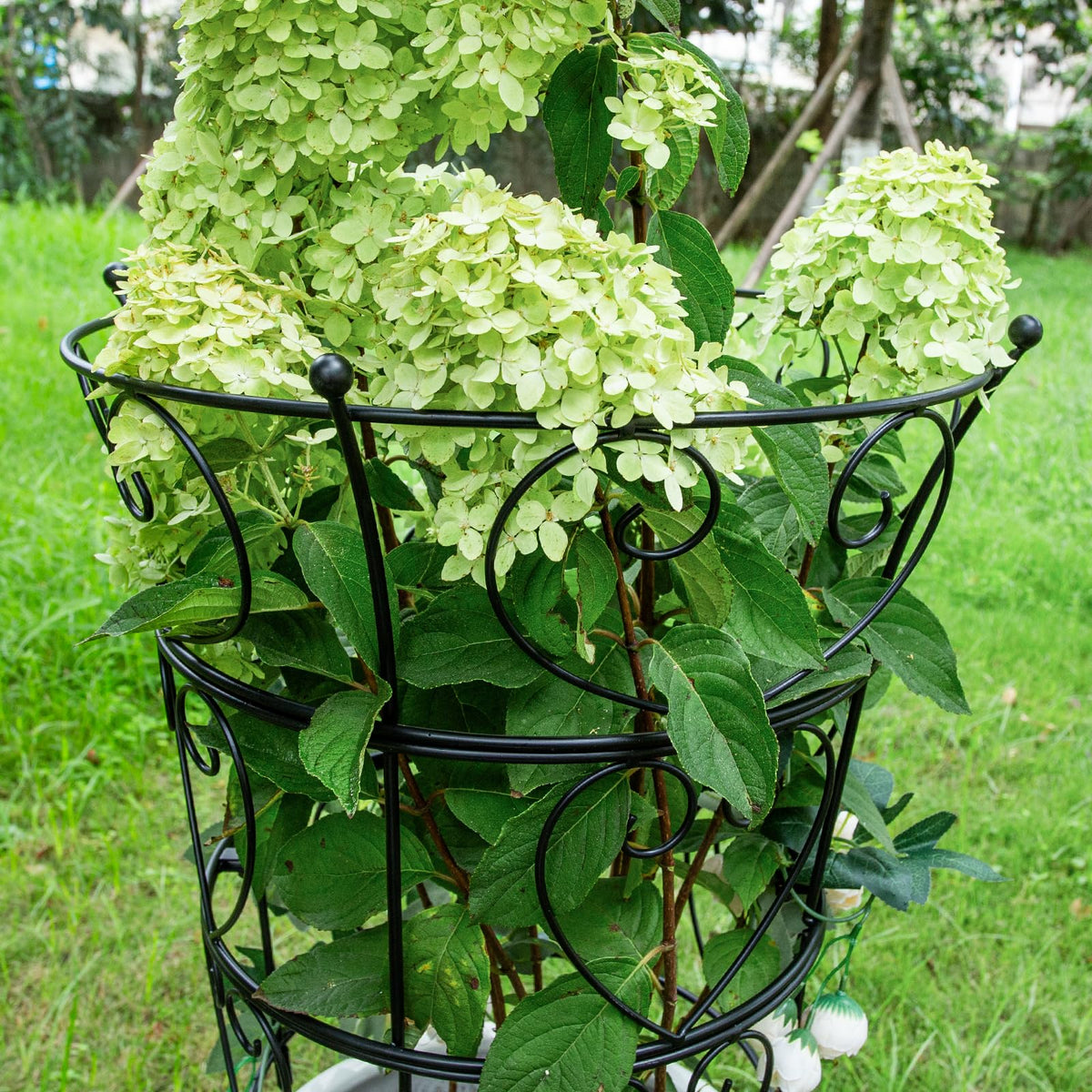 Goooxim outdoor trellis with rust-resistant coating for lasting curb appeal