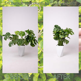 Goooxim premium metal plant stem holder blends with decor.