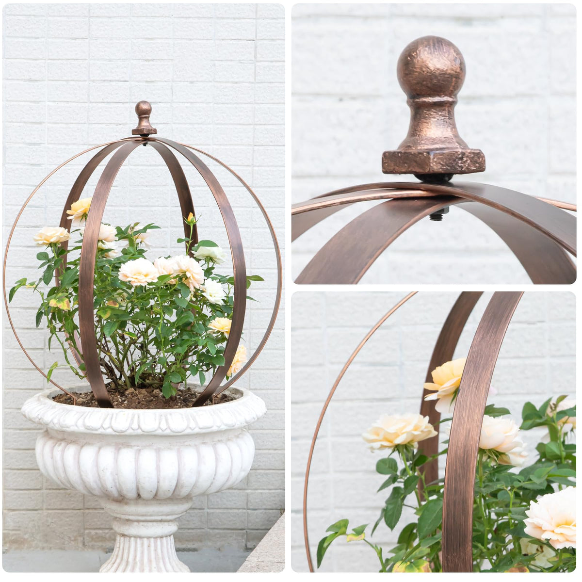 Goooxim garden obelisk rose support helps plants climb without crowding.
