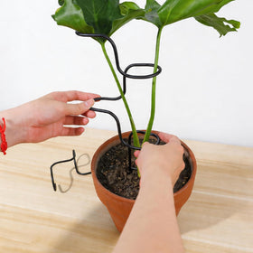 Goooxim simple installation helps beginners set up plant trellis quickly.