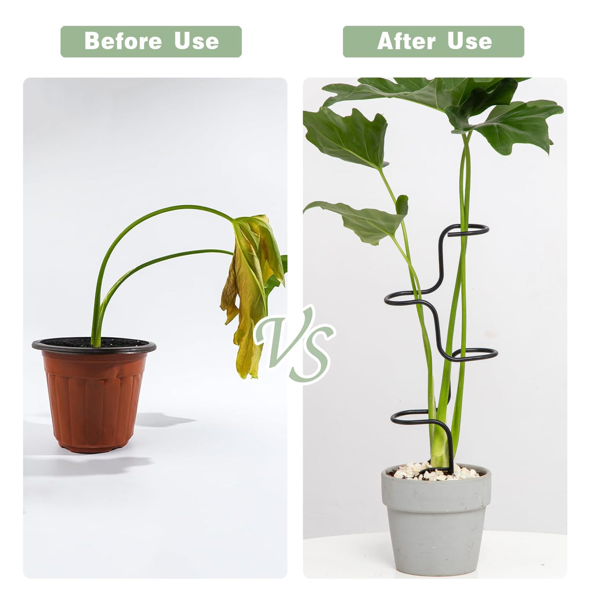 Goooxim 12.6-inch stakes deliver instant stability for medium indoor plants.