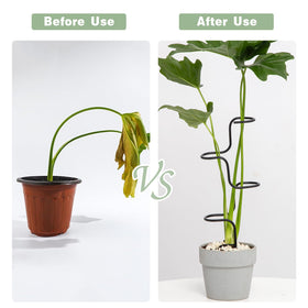Goooxim 12.6-inch stakes deliver instant stability for medium indoor plants.
