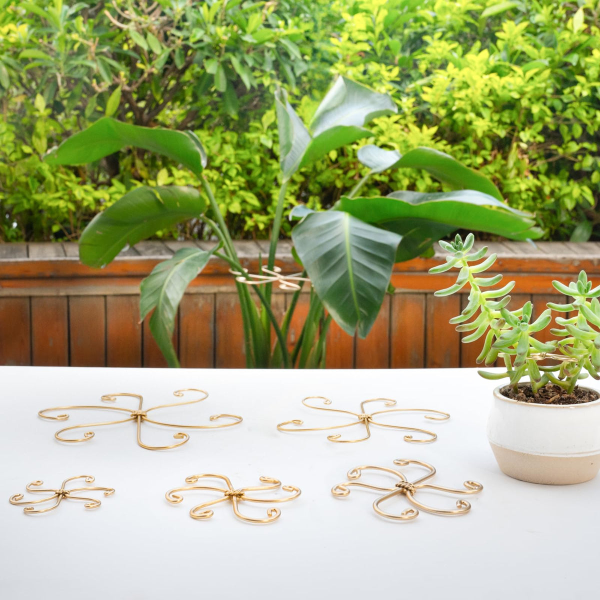 Goooxim stylish gift for plant lovers and hobbyists.