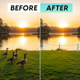 Goose Guard waterfront-deterrent-in-action shows geese steering clear of protected zones.