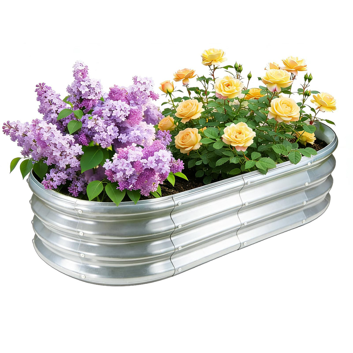 GOOZOO galvanized planter raised bed 4x2x1 ft for vegetables and herbs.