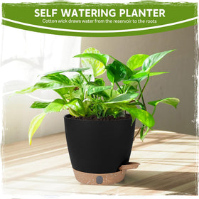 Goproauto pot with multiple drainage holes and detachable base tray