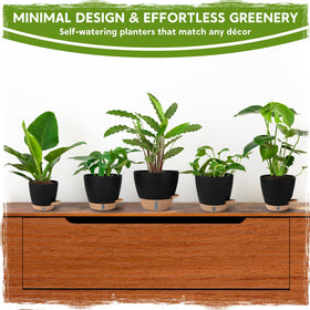 Goproauto eight-inch pot suitable for spider plants or peace lilies