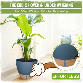 Goproauto self-watering pot 6-inch compact for small spaces and succulents